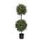 46" Pre-Lit Boxwood Double Ball Topiary in Nursery Pot